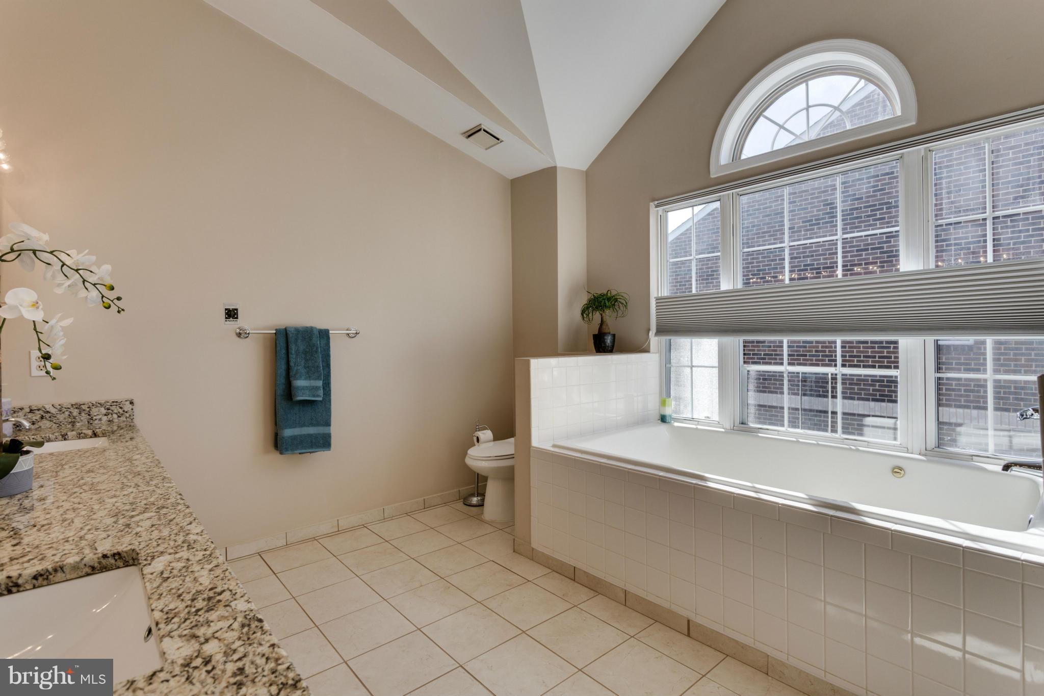 3084 South Glebe Road Arlington, VA 22206 - Photo 16 of 30 Bath (Master)