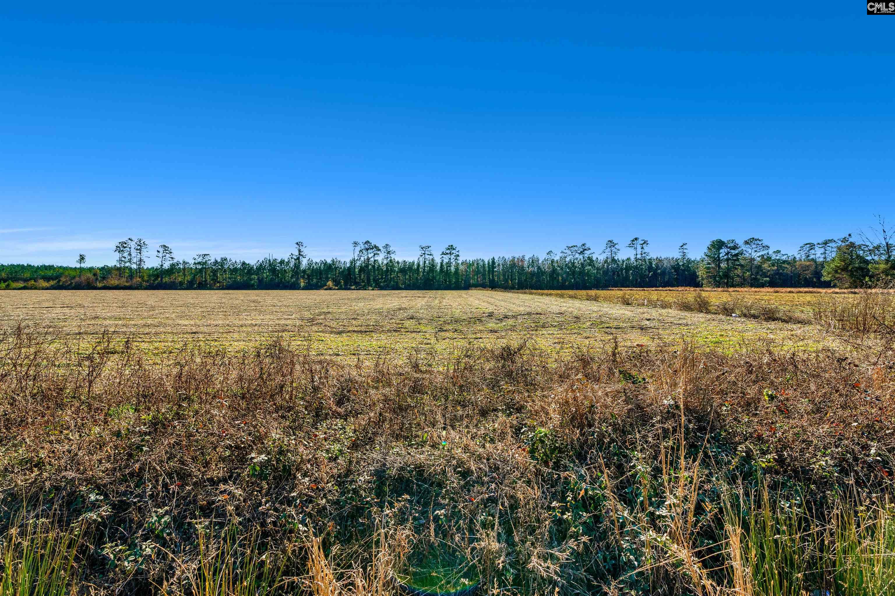 1745 Williams Hill Road Hemingway, SC 29554 - Photo 25 of 25