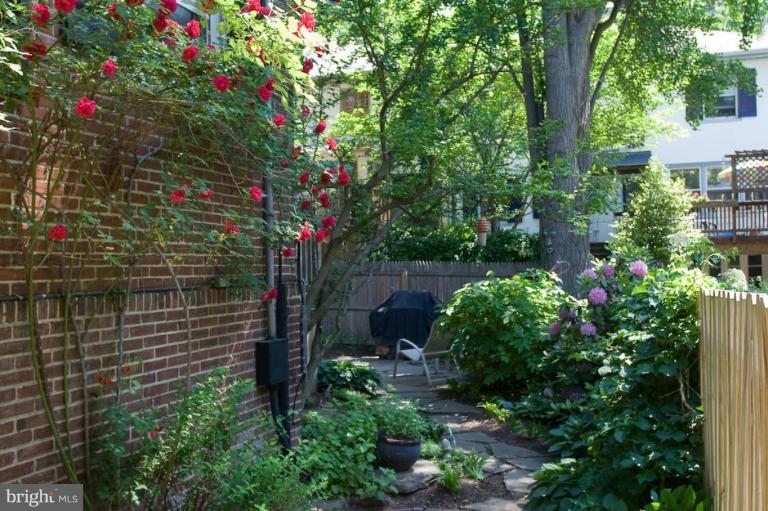3921 Canterbury Road Baltimore, MD 21218 - Photo 2 of 27 Side Yard
