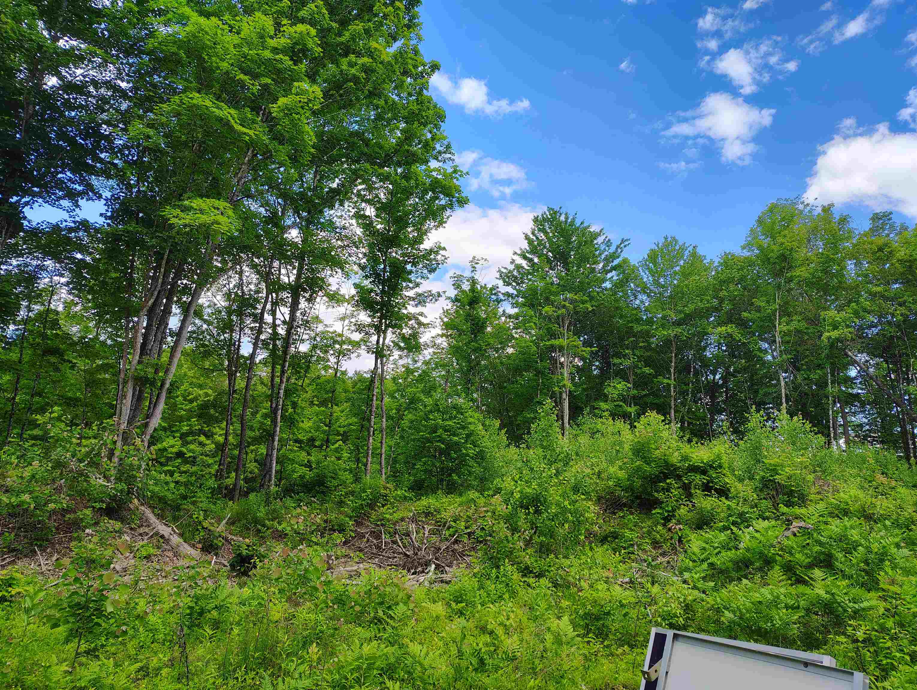 12 Frescoln Road Wentworth, NH 03282 - Photo 7 of 9