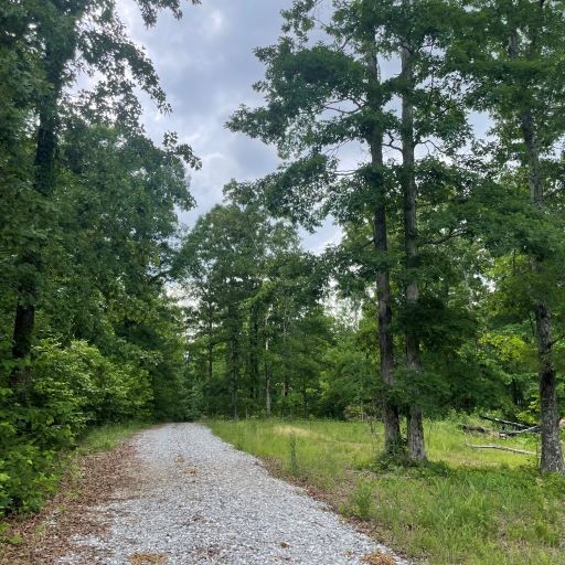 0 Tummins Road McEwen, TN 37101 - Photo 1 of 37 Gallery Image 1