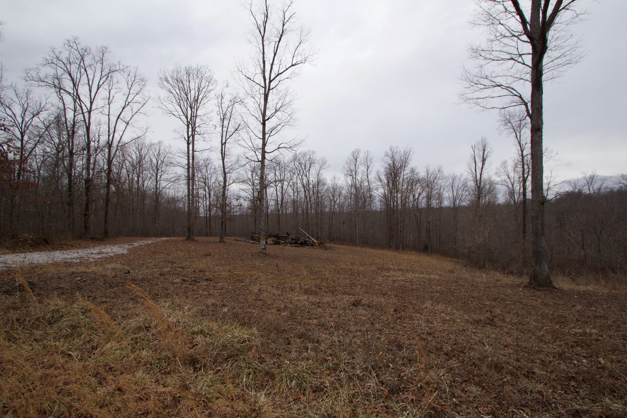 0 Tummins Road McEwen, TN 37101 - Photo 12 of 37 Gallery Image 12