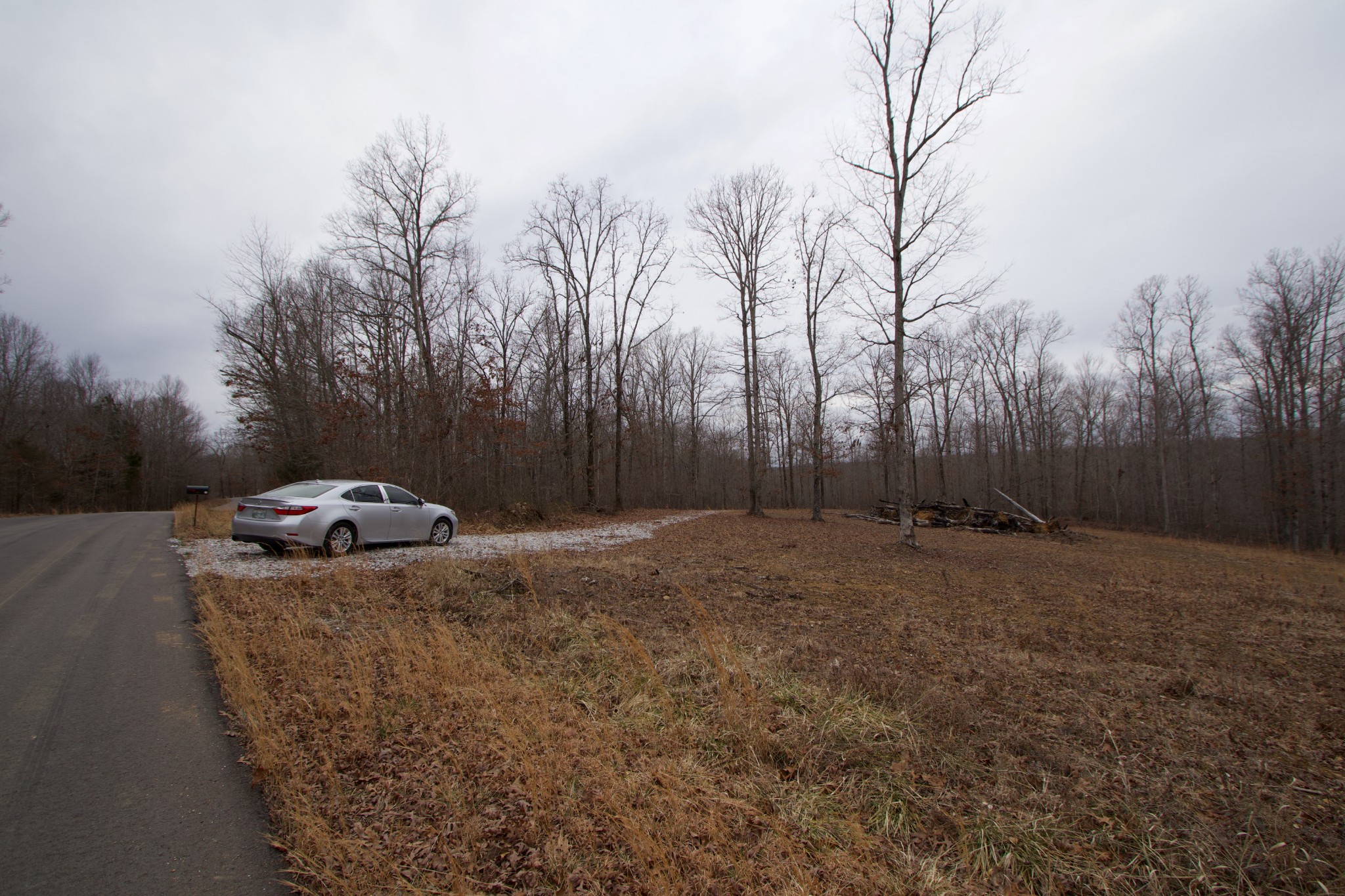 0 Tummins Road McEwen, TN 37101 - Photo 13 of 37 Gallery Image 13