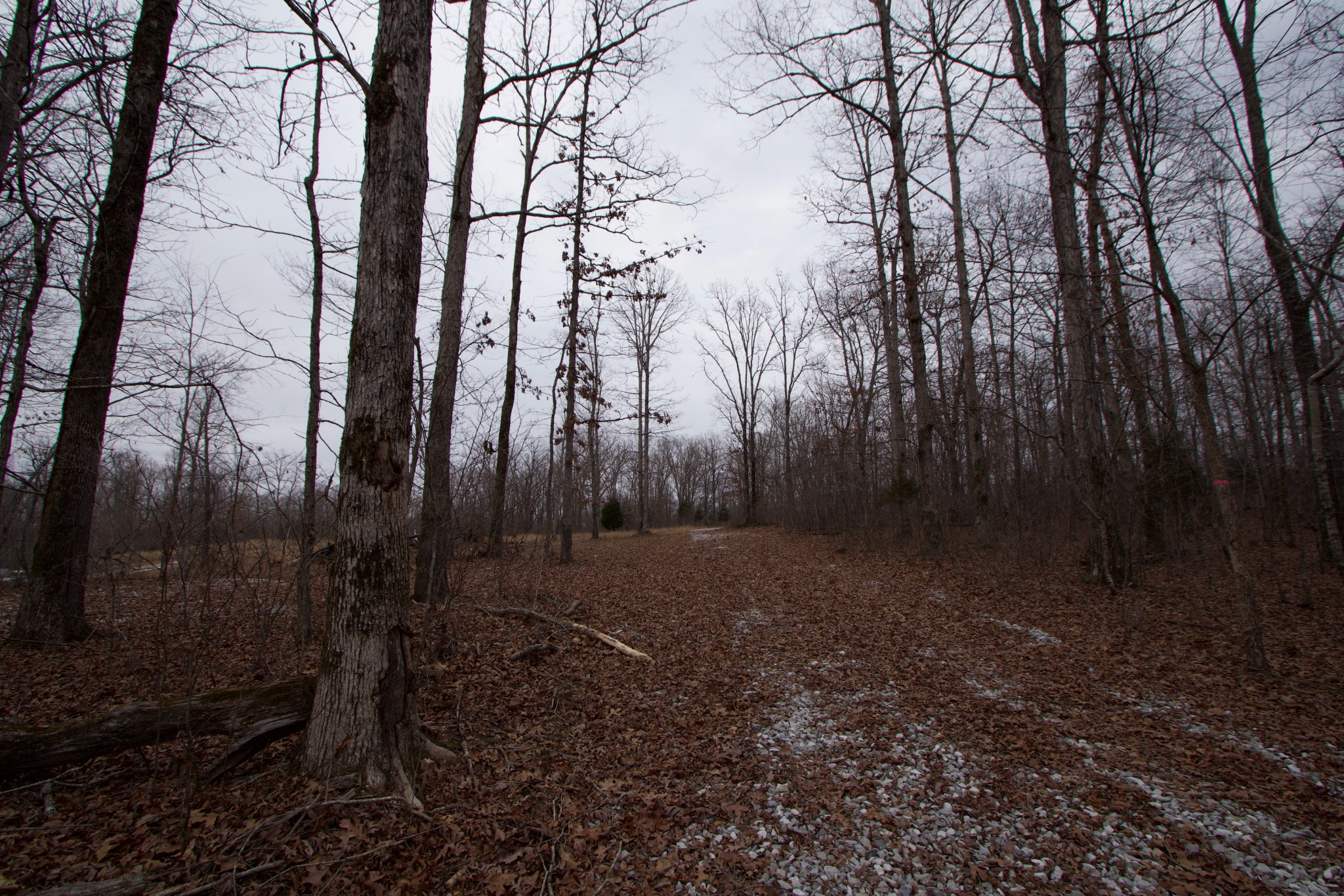 0 Tummins Road McEwen, TN 37101 - Photo 14 of 37 Gallery Image 14