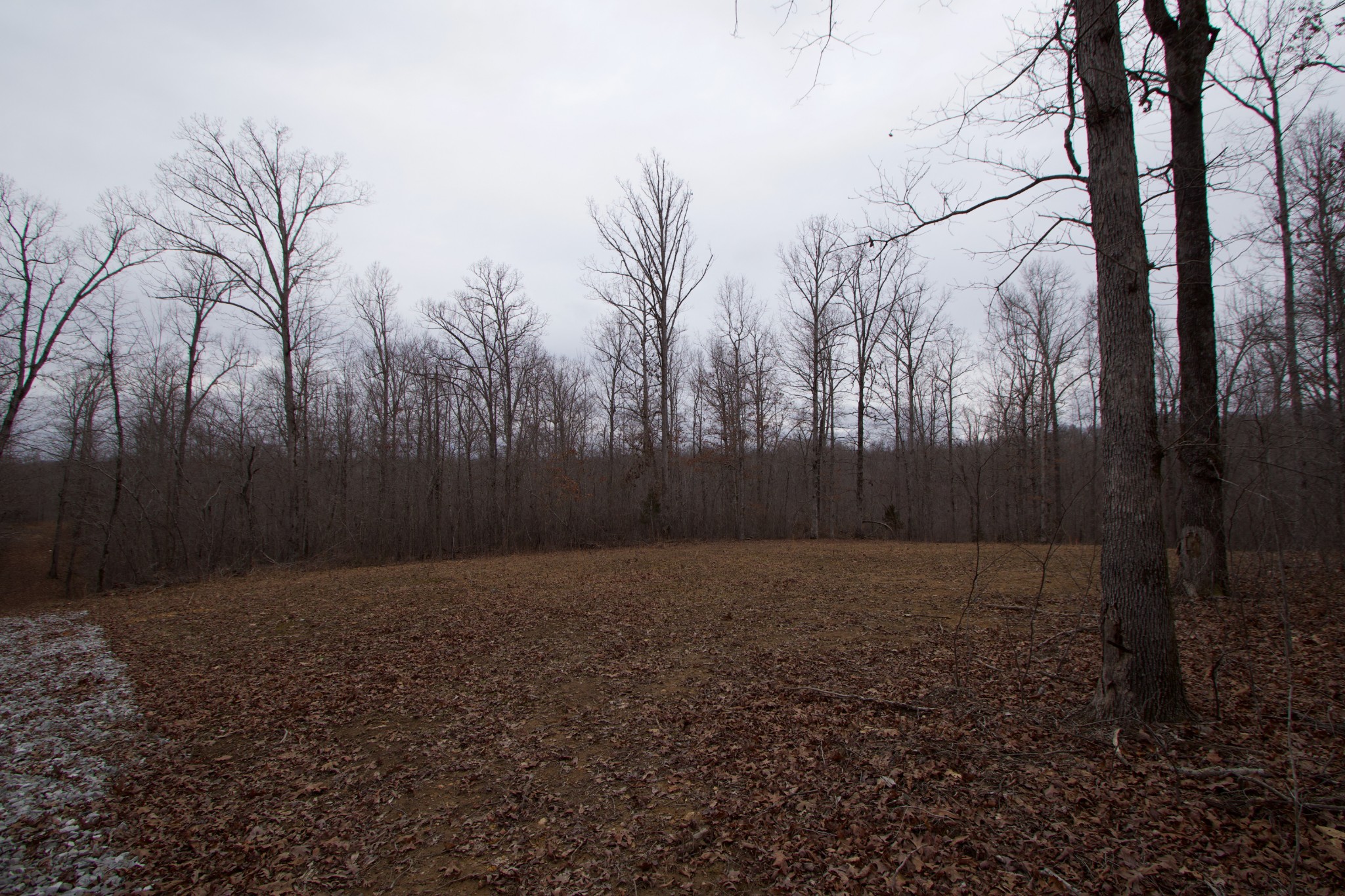 0 Tummins Road McEwen, TN 37101 - Photo 15 of 37 Gallery Image 15