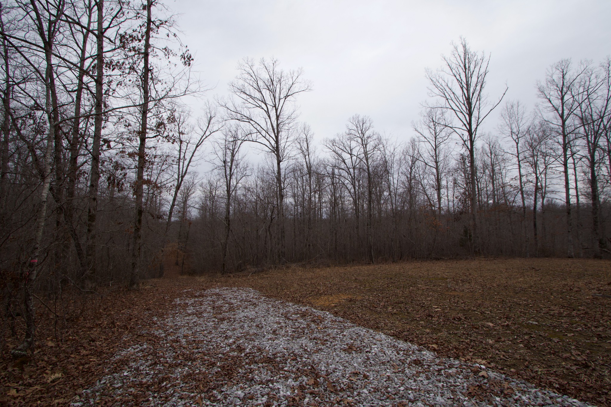 0 Tummins Road McEwen, TN 37101 - Photo 16 of 37 Gallery Image 16