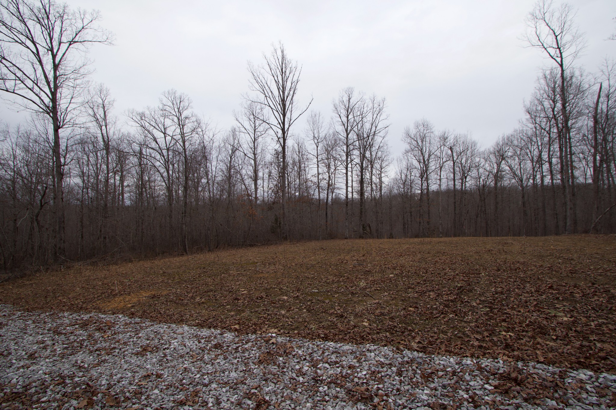 0 Tummins Road McEwen, TN 37101 - Photo 17 of 37 Gallery Image 17