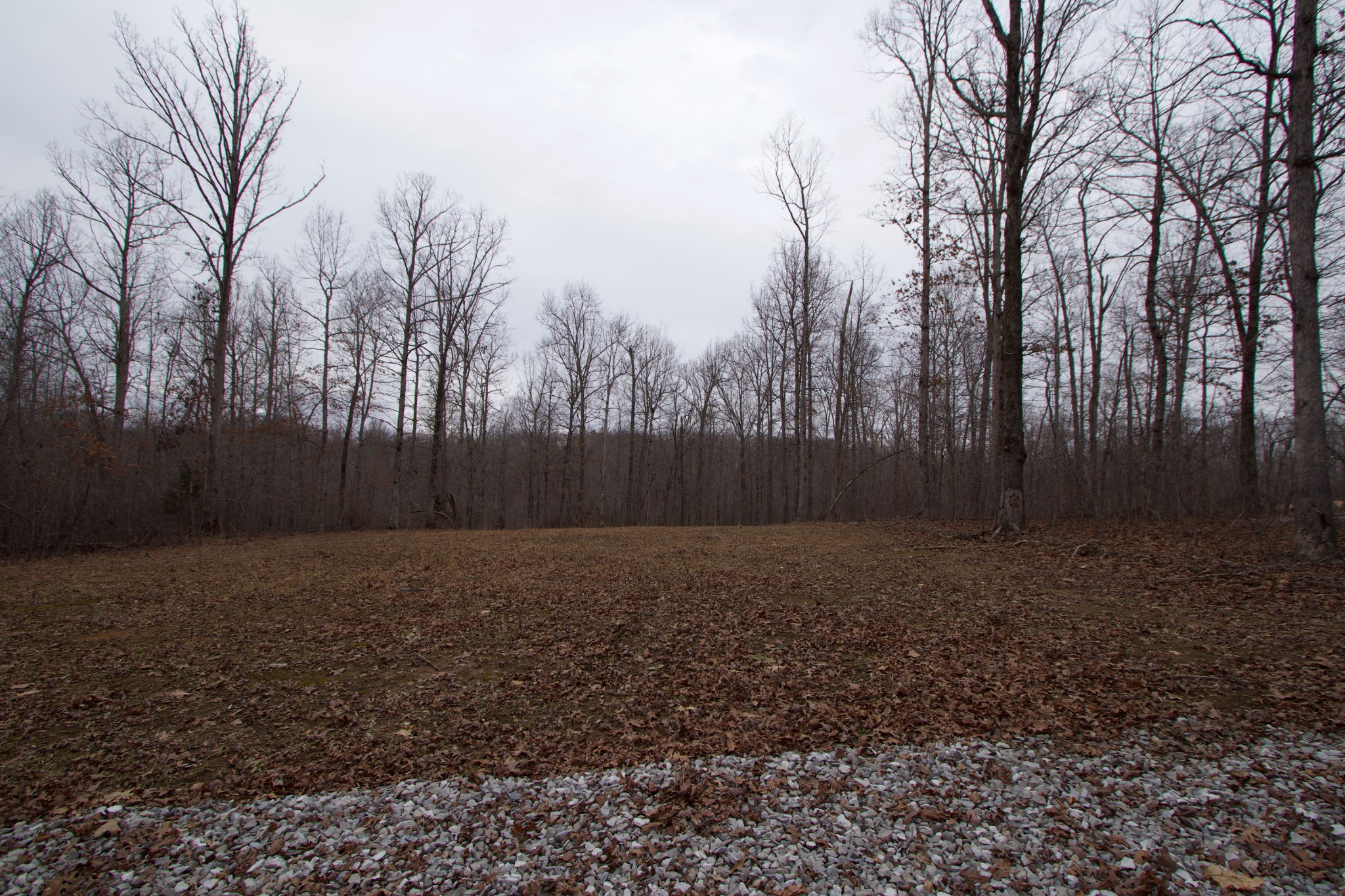 0 Tummins Road McEwen, TN 37101 - Photo 18 of 37 Gallery Image 18