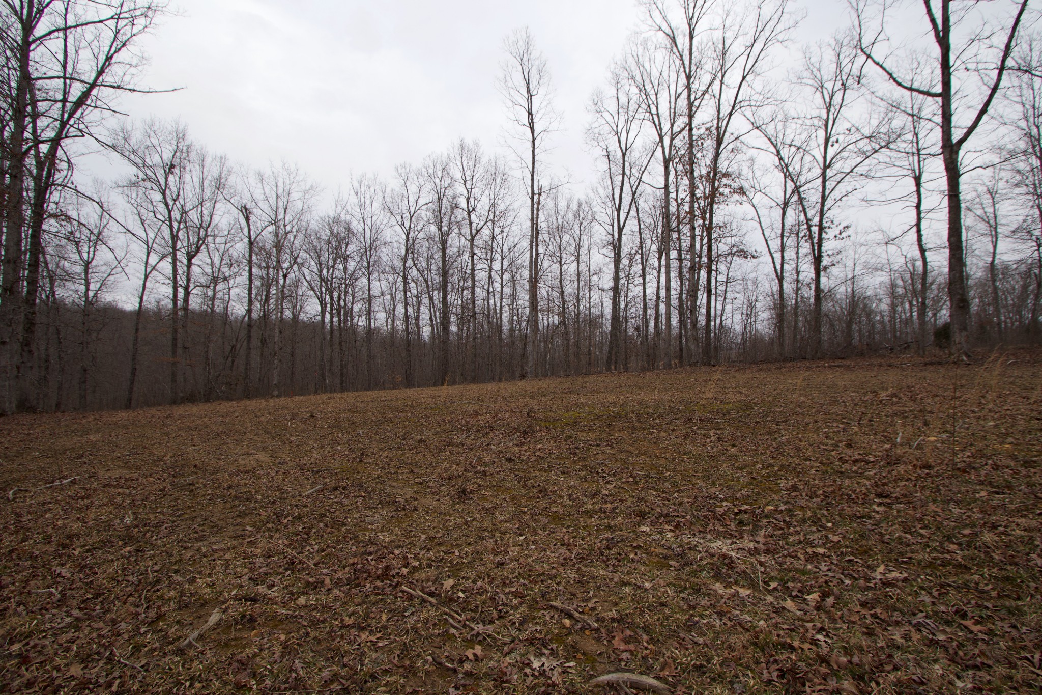 0 Tummins Road McEwen, TN 37101 - Photo 19 of 37 Gallery Image 19