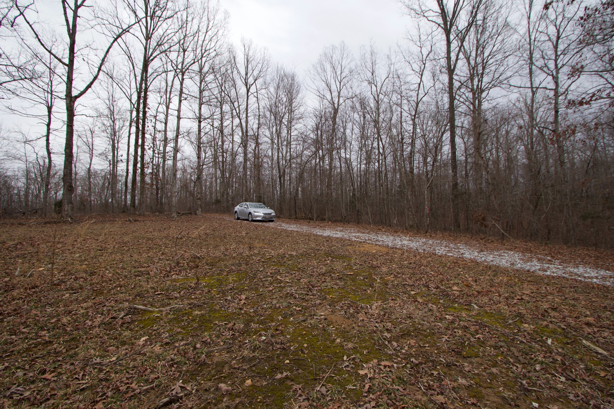 0 Tummins Road McEwen, TN 37101 - Photo 20 of 37 Gallery Image 20