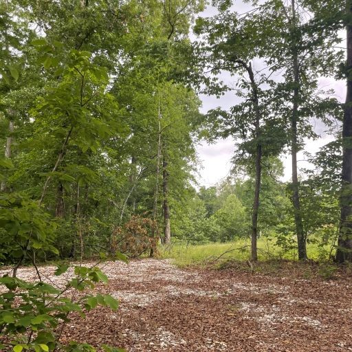 0 Tummins Road McEwen, TN 37101 - Photo 2 of 37 Gallery Image 2