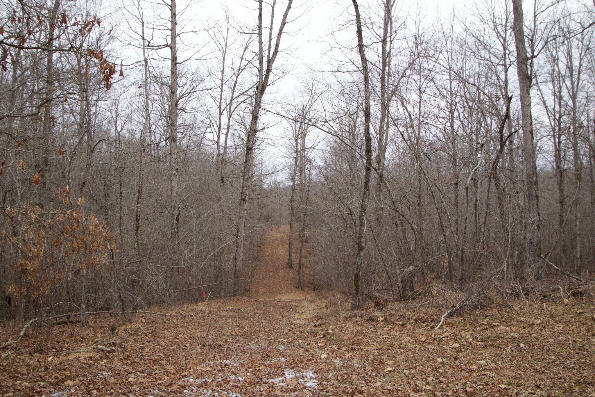 0 Tummins Road McEwen, TN 37101 - Photo 21 of 37 Gallery Image 21