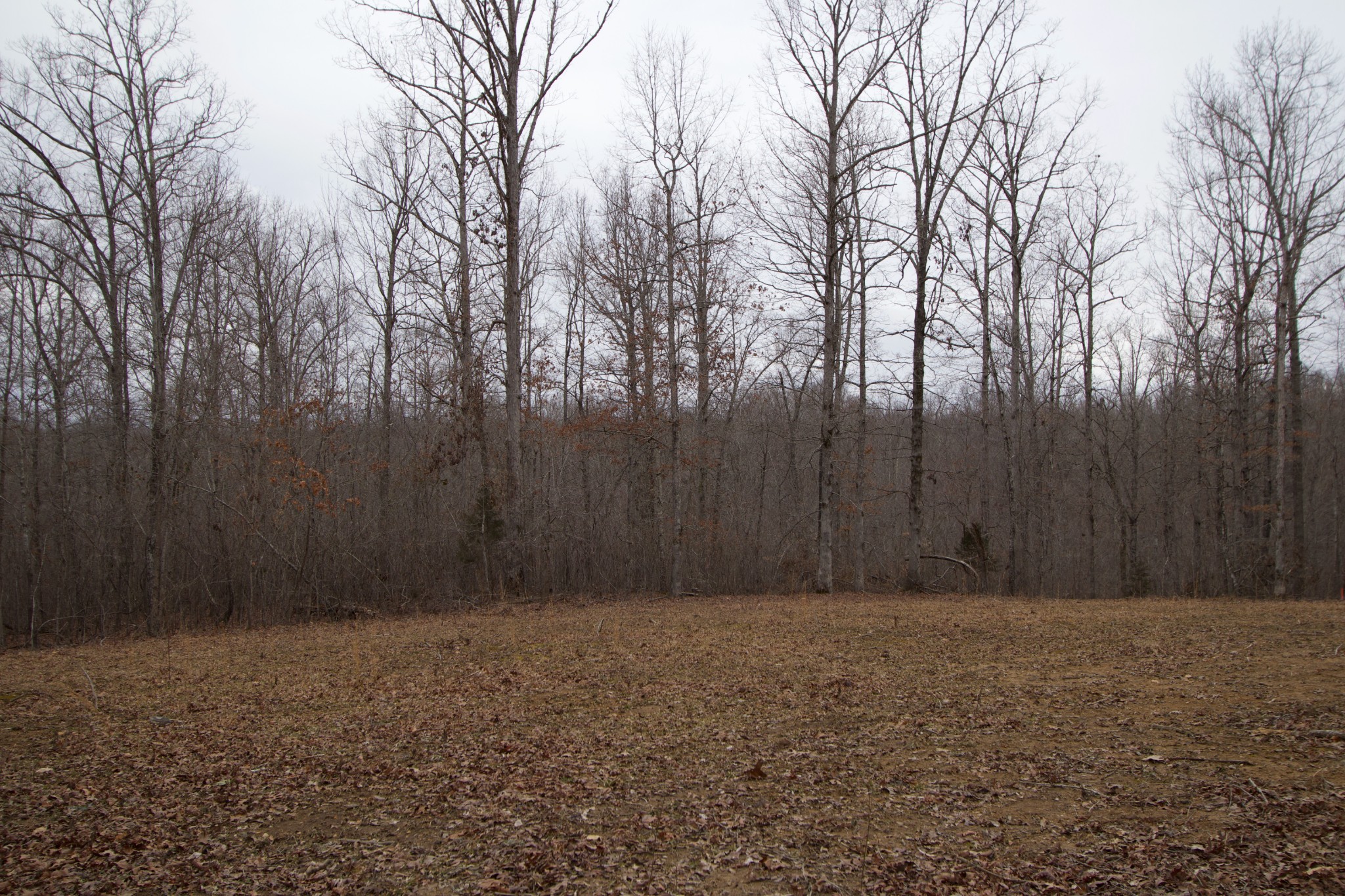 0 Tummins Road McEwen, TN 37101 - Photo 24 of 37 Gallery Image 24