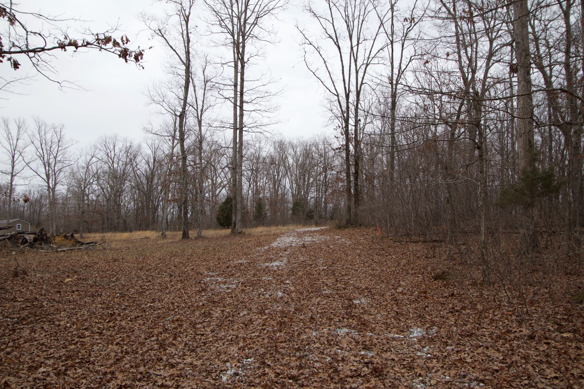 0 Tummins Road McEwen, TN 37101 - Photo 25 of 37 Gallery Image 25