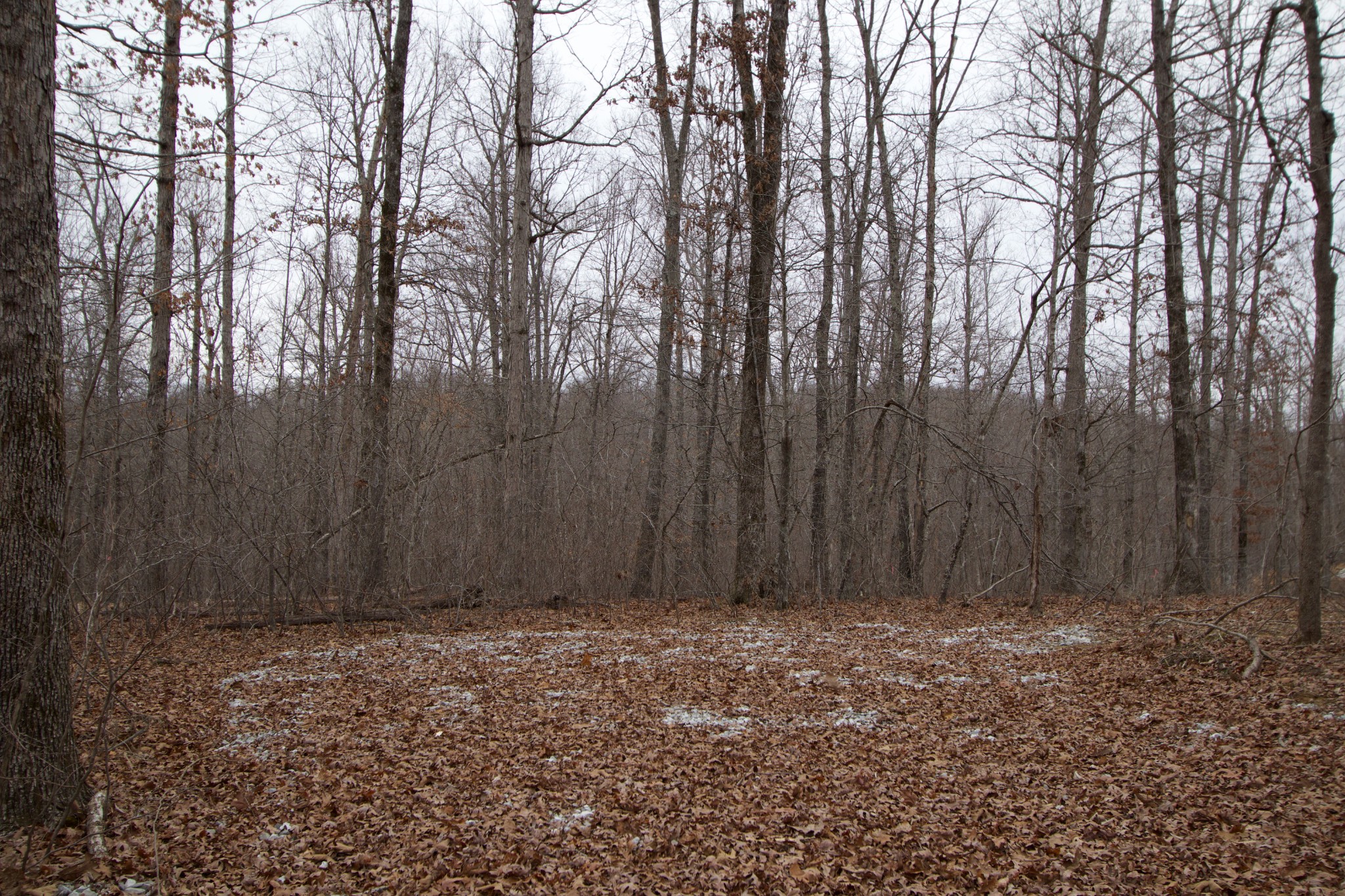 0 Tummins Road McEwen, TN 37101 - Photo 26 of 37 Gallery Image 26