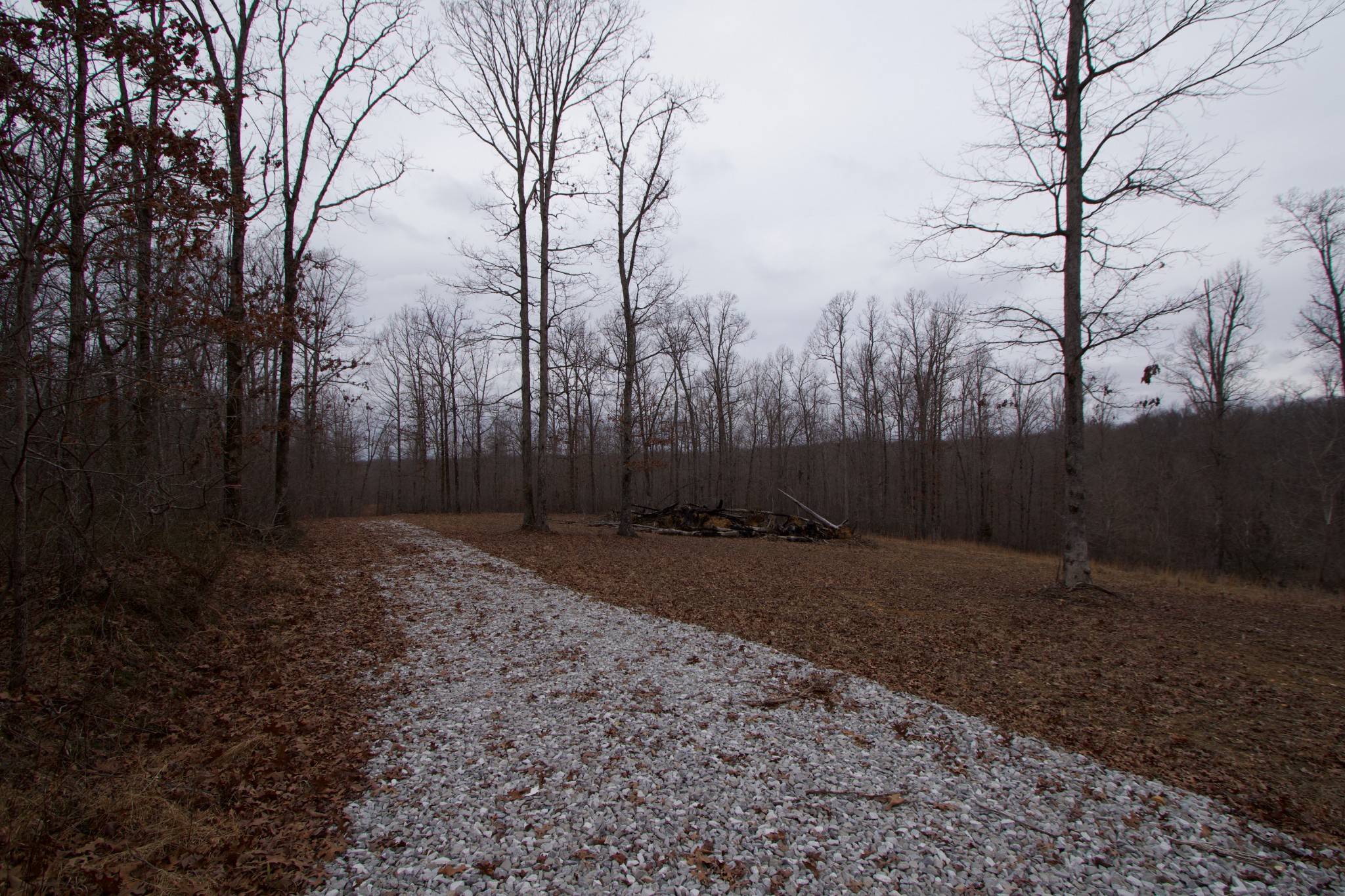 0 Tummins Road McEwen, TN 37101 - Photo 27 of 37 Gallery Image 27