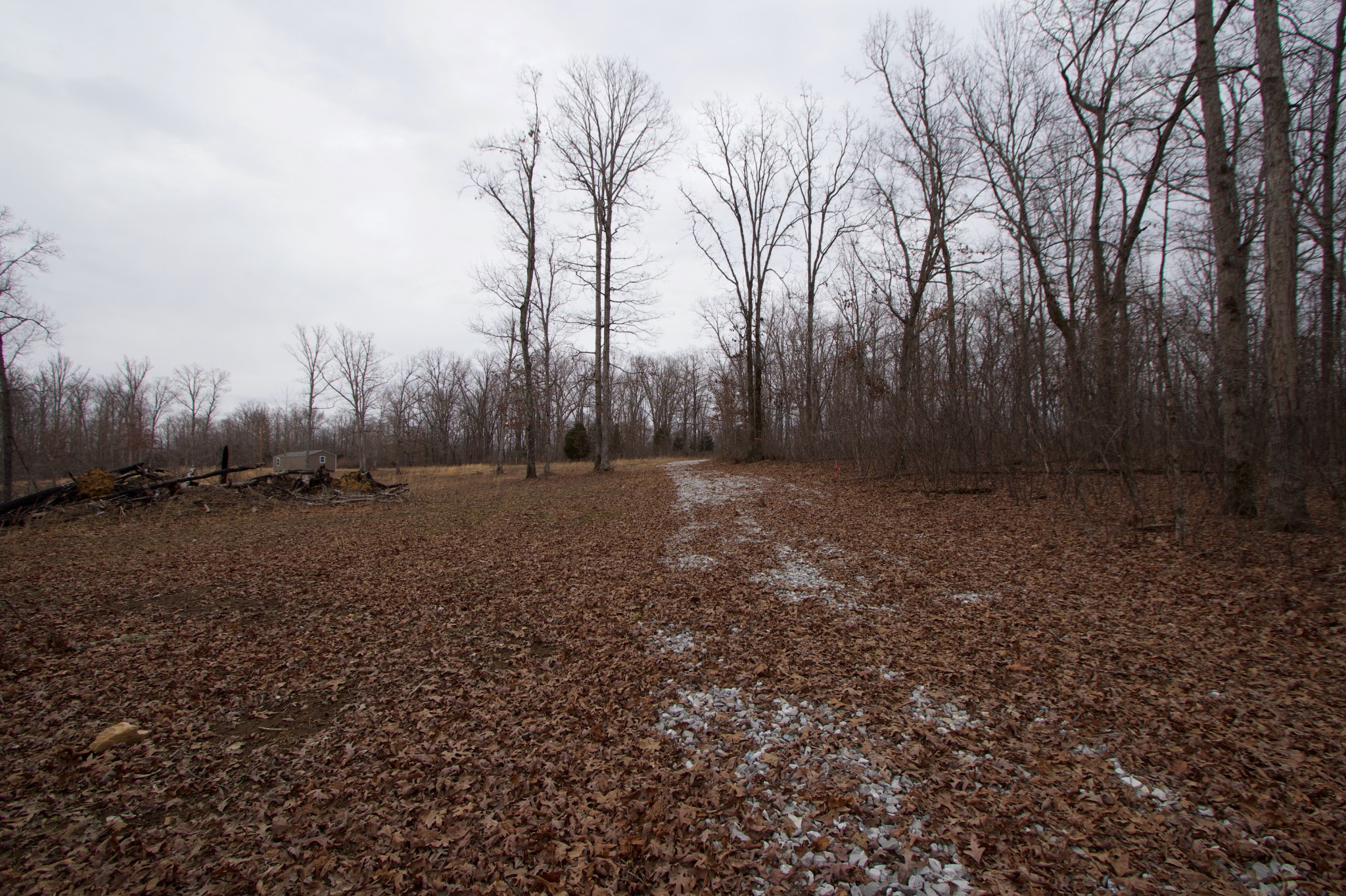 0 Tummins Road McEwen, TN 37101 - Photo 28 of 37 Gallery Image 28