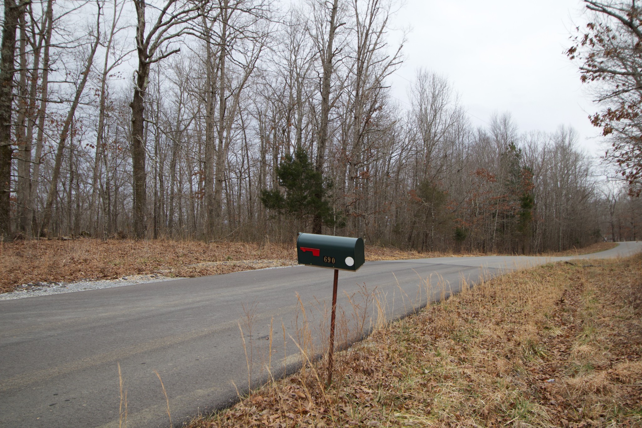 0 Tummins Road McEwen, TN 37101 - Photo 29 of 37 Gallery Image 29