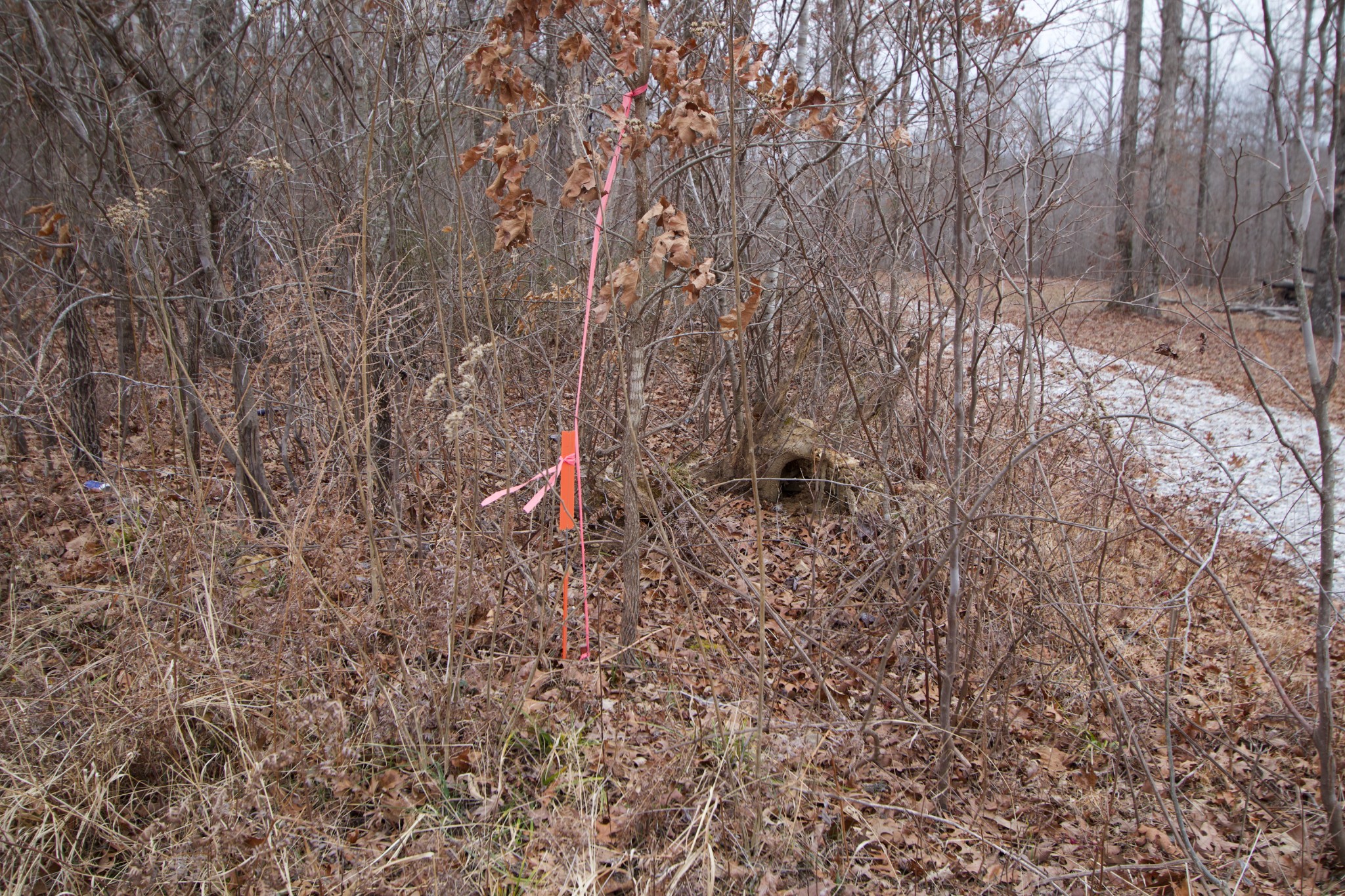 0 Tummins Road McEwen, TN 37101 - Photo 30 of 37 Gallery Image 30