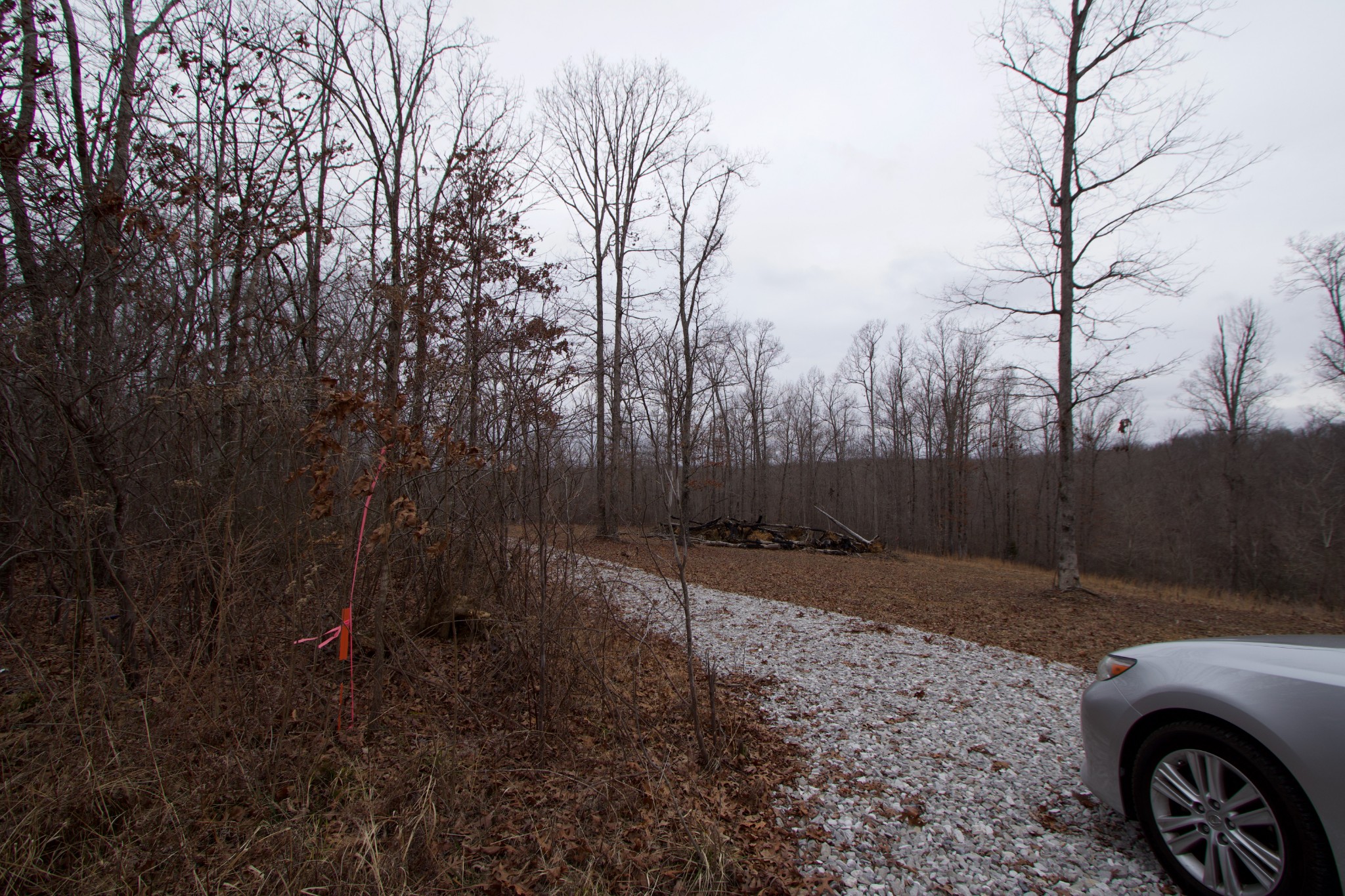 0 Tummins Road McEwen, TN 37101 - Photo 31 of 37 Gallery Image 31