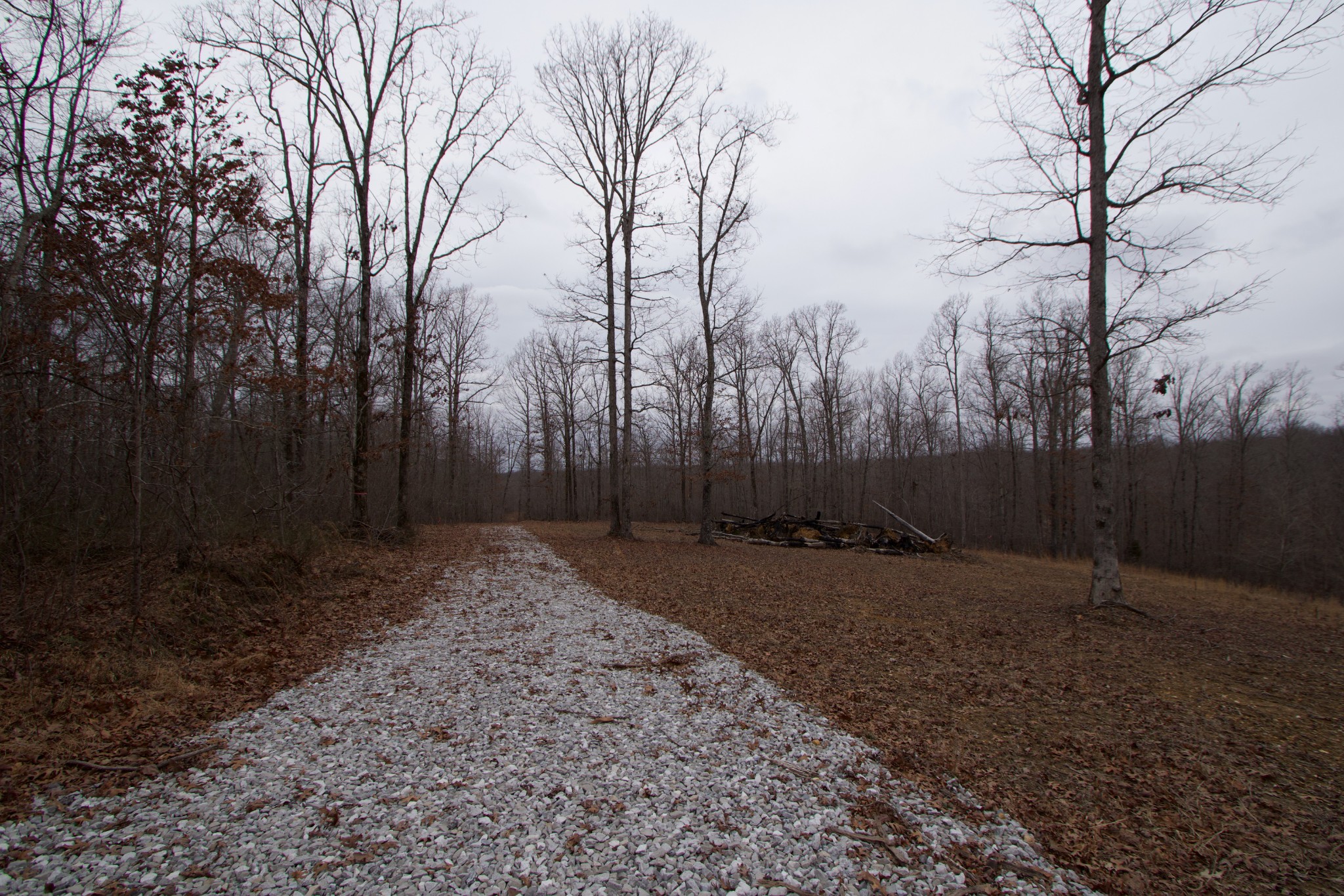 0 Tummins Road McEwen, TN 37101 - Photo 32 of 37 Gallery Image 32