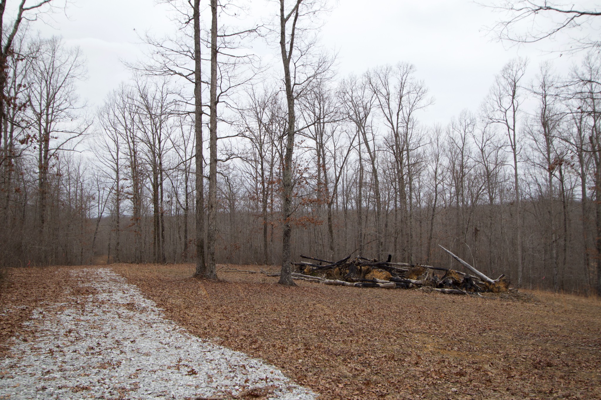 0 Tummins Road McEwen, TN 37101 - Photo 33 of 37 Gallery Image 33