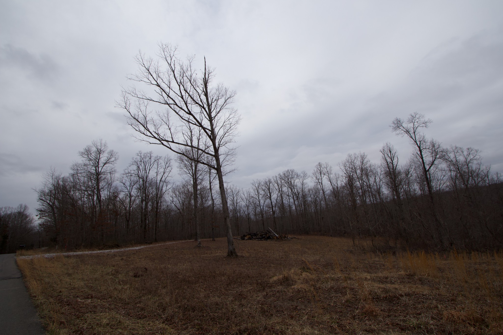 0 Tummins Road McEwen, TN 37101 - Photo 35 of 37 Gallery Image 35