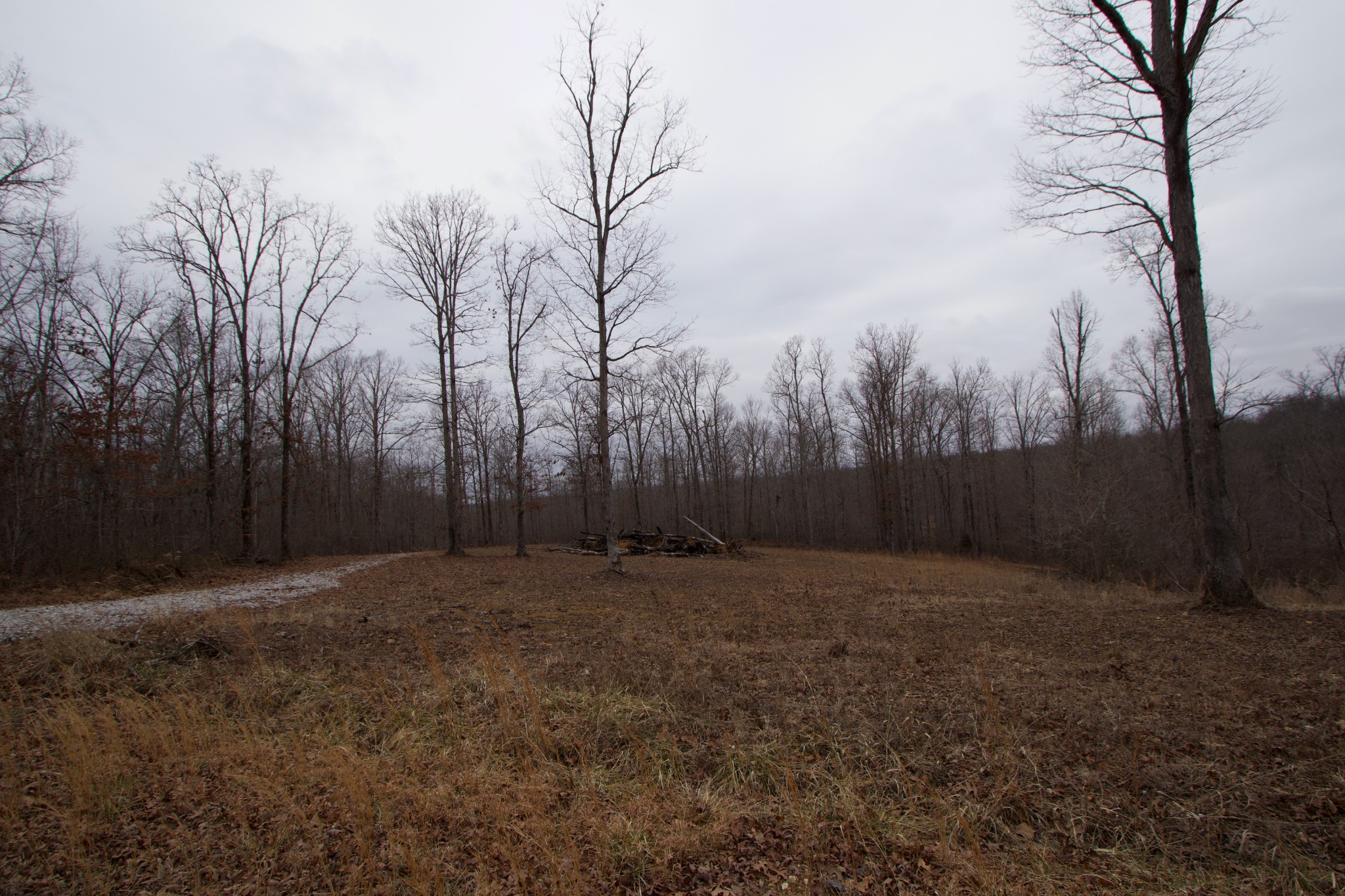 0 Tummins Road McEwen, TN 37101 - Photo 36 of 37 Gallery Image 36