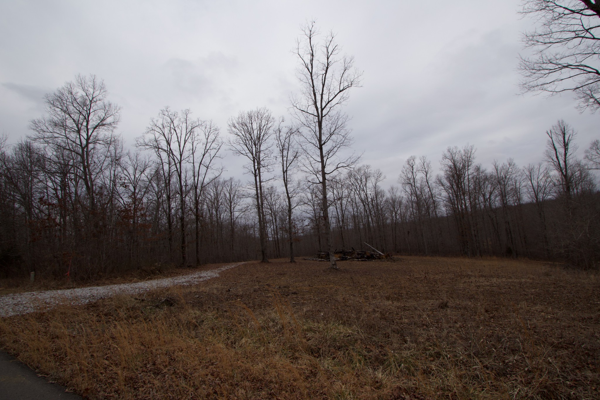 0 Tummins Road McEwen, TN 37101 - Photo 37 of 37 Gallery Image 37
