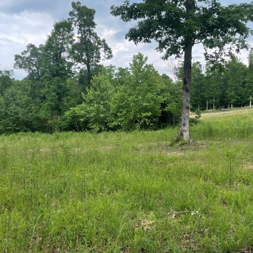 0 Tummins Road McEwen, TN 37101 - Photo 4 of 37 Gallery Image 4