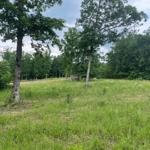 0 Tummins Road McEwen, TN 37101 - Photo 5 of 37 Gallery Image 5