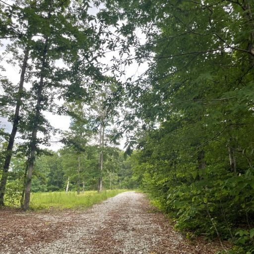0 Tummins Road McEwen, TN 37101 - Photo 6 of 37 Gallery Image 6