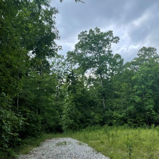 0 Tummins Road McEwen, TN 37101 - Photo 7 of 37 Gallery Image 7