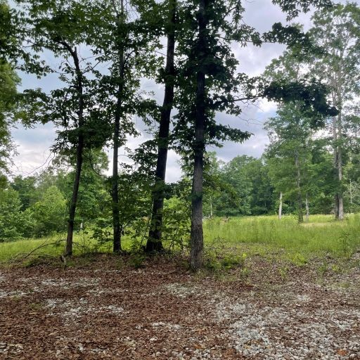 0 Tummins Road McEwen, TN 37101 - Photo 8 of 37 Gallery Image 8