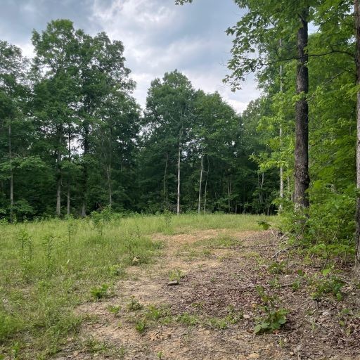 0 Tummins Road McEwen, TN 37101 - Photo 9 of 37 Gallery Image 9