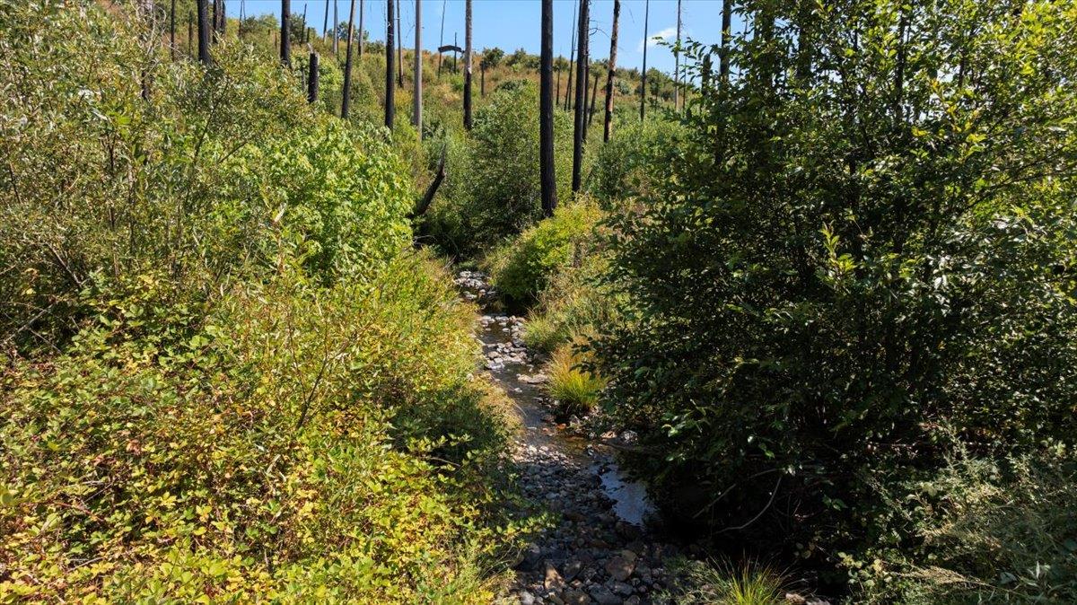 0 Danville Circle Oroville, CA 95965 - Photo 1 of 21 a view of a garden
