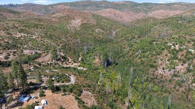 a view of a lush green forest with lots of trees