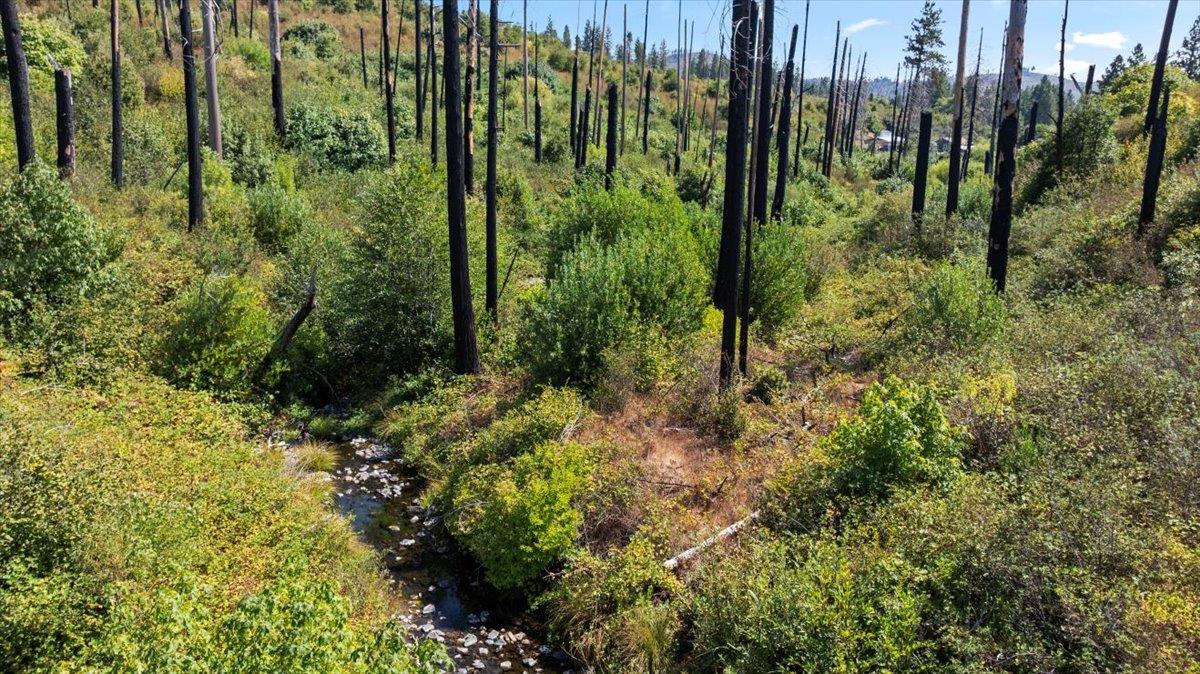 0 Danville Circle Oroville, CA 95965 - Photo 2 of 21 a view of a garden