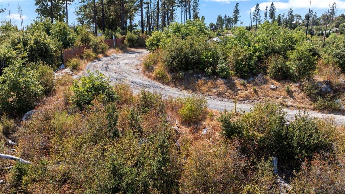 0 Danville Circle Oroville, CA 95965 - Photo 3 of 21 a view of a yard with plants and large trees