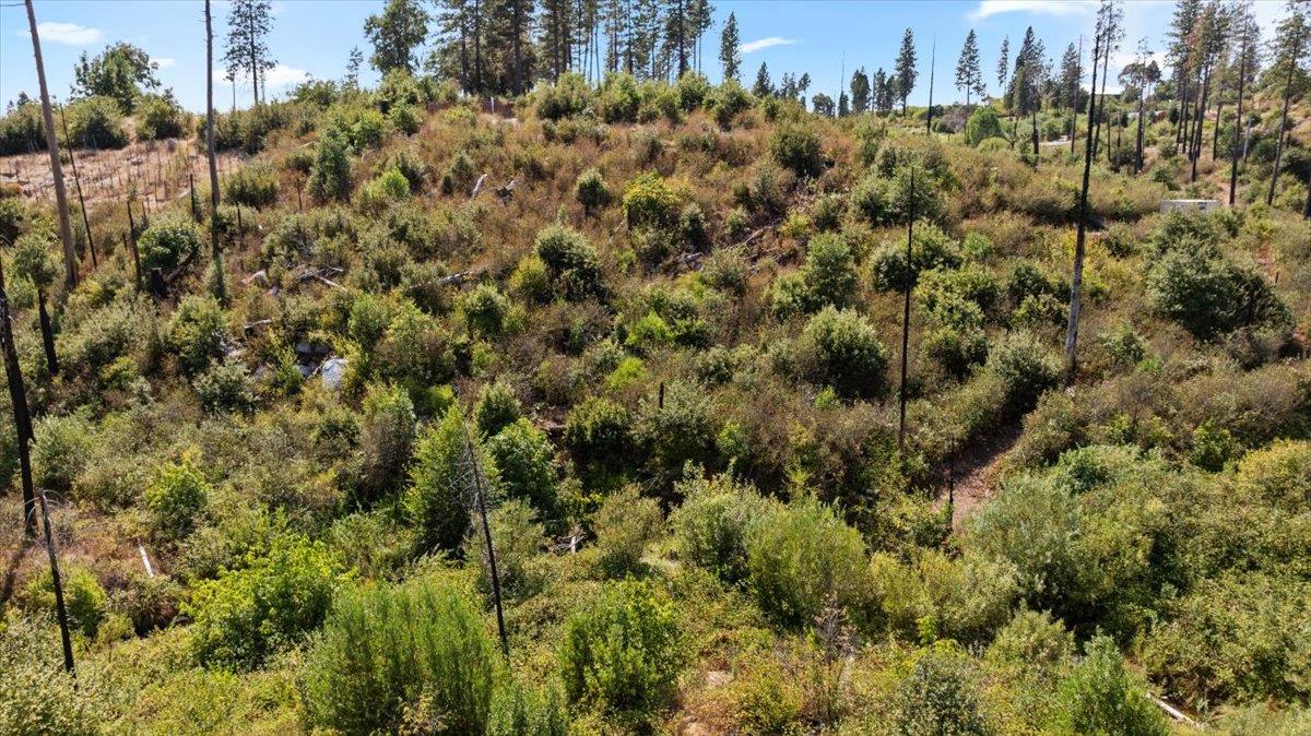 0 Danville Circle Oroville, CA 95965 - Photo 5 of 21 a view of a house with a lush green forest