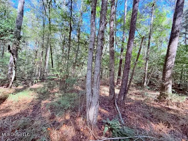 $75,000 | 427 Ginntown Road, Tylertown, MS 39667