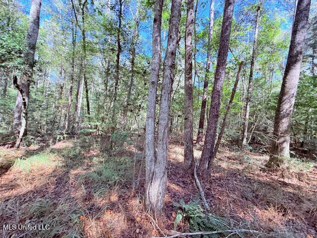 427 Ginntown Road Tylertown, MS 39667 - Photo 11 of 20 IMG_1090