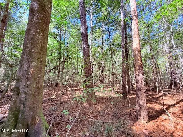 $75,000 | 427 Ginntown Road, Tylertown, MS 39667