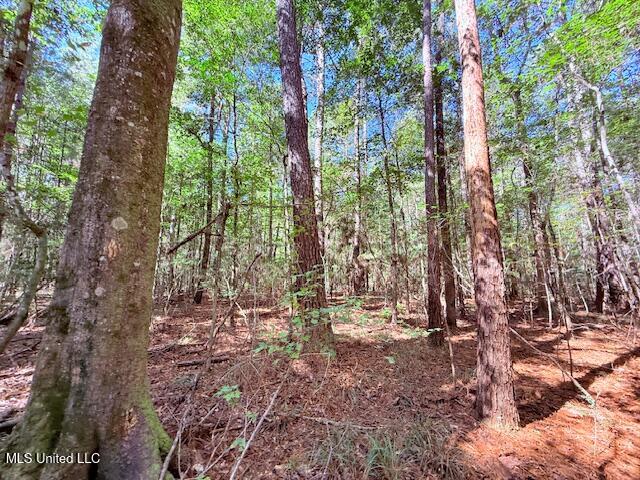 427 Ginntown Road Tylertown, MS 39667 - Photo 12 of 20 IMG_1092