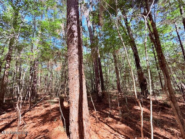 427 Ginntown Road Tylertown, MS 39667 - Photo 13 of 20 IMG_1094