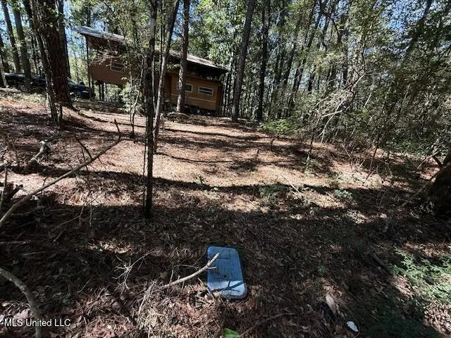 $75,000 | 427 Ginntown Road, Tylertown, MS 39667