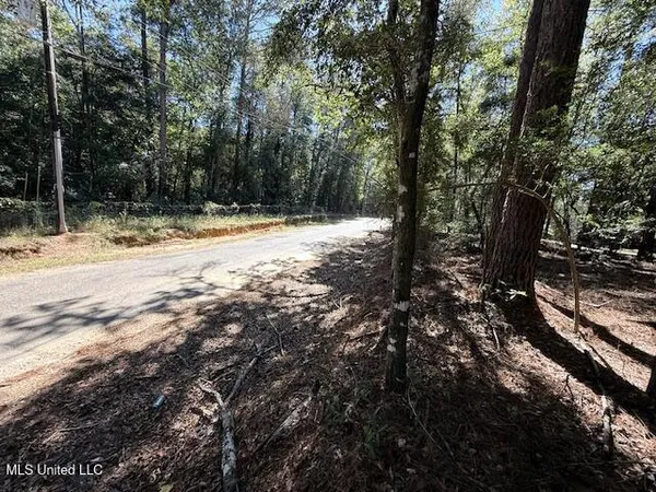 $75,000 | 427 Ginntown Road, Tylertown, MS 39667