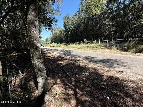 $75,000 | 427 Ginntown Road, Tylertown, MS 39667