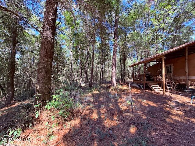 427 Ginntown Road Tylertown, MS 39667 - Photo 2 of 20 IMG_1075