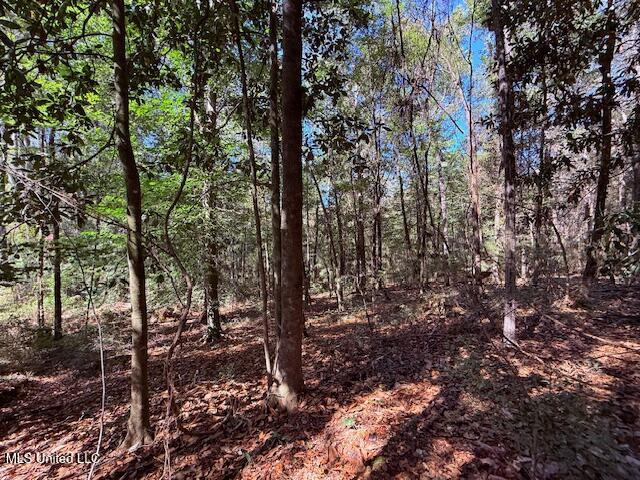 427 Ginntown Road Tylertown, MS 39667 - Photo 3 of 20 IMG_1077